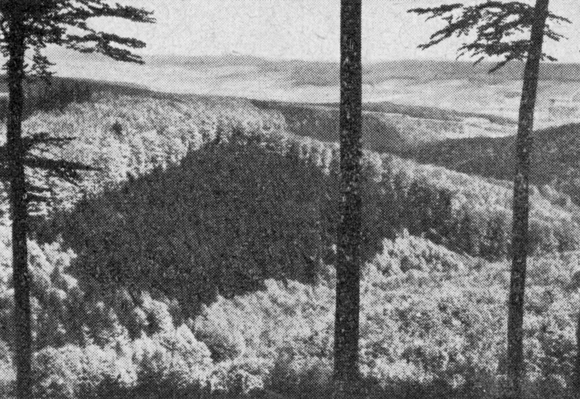 Das Wabachtal im Vogler bei Eschershausen